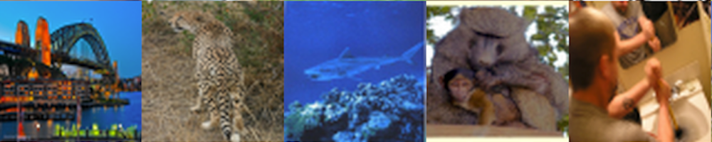 A random sample of ImageNet photographs
