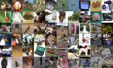 A grid of ImageNet training photographs